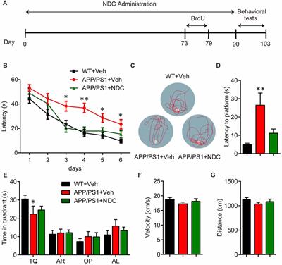 Naringin Dihydrochalcone Ameliorates Cognitive Deficits and Neuropathology in APP/PS1 Transgenic Mice